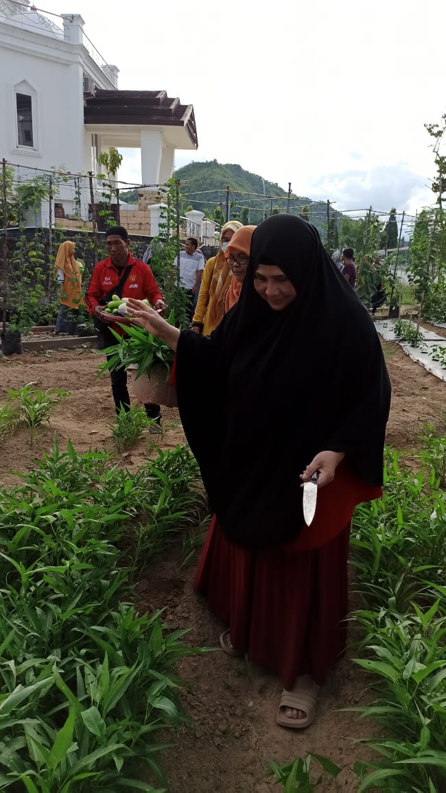 Ketua Tp Pkk Luwu Minta Gerakan Menanam Sayuran Jangan Kendor Media